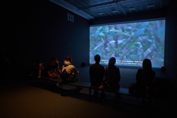 dokumentacja ekspozycji, Spojrzenia 2019 – Nagroda Deutsche Bank | Zachęta Narodowa Galeria Sztuki, fot. Marek Sadowski
